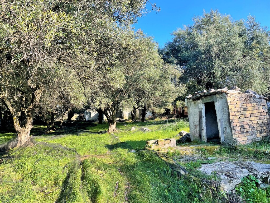 Land in Corfu, Corfu Prefecture, Greece – 52629
