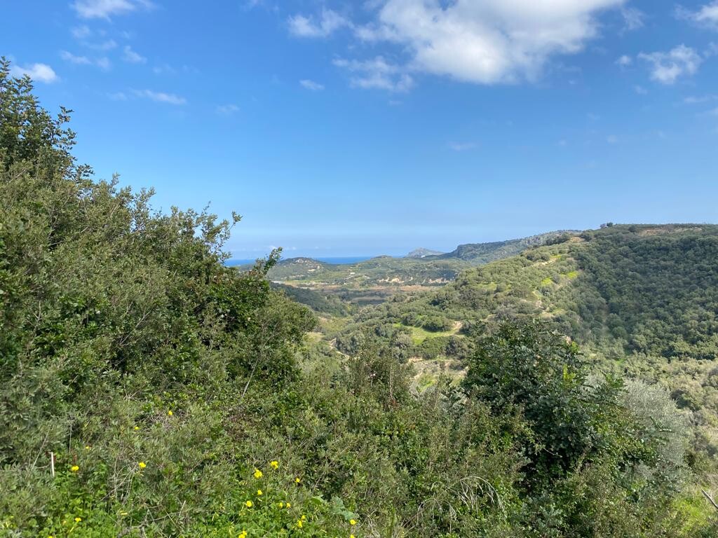 Land in Nea Kidonia, Chania Prefecture, Greece – 52623