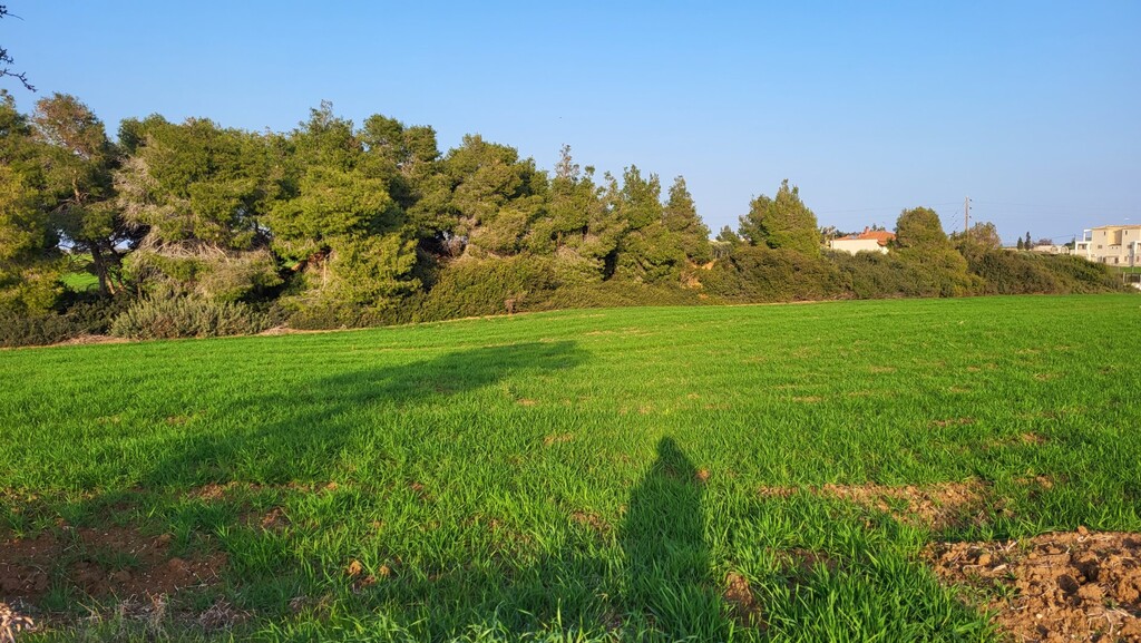 Land in Kassandra, Chalkidiki, Greece – 52622