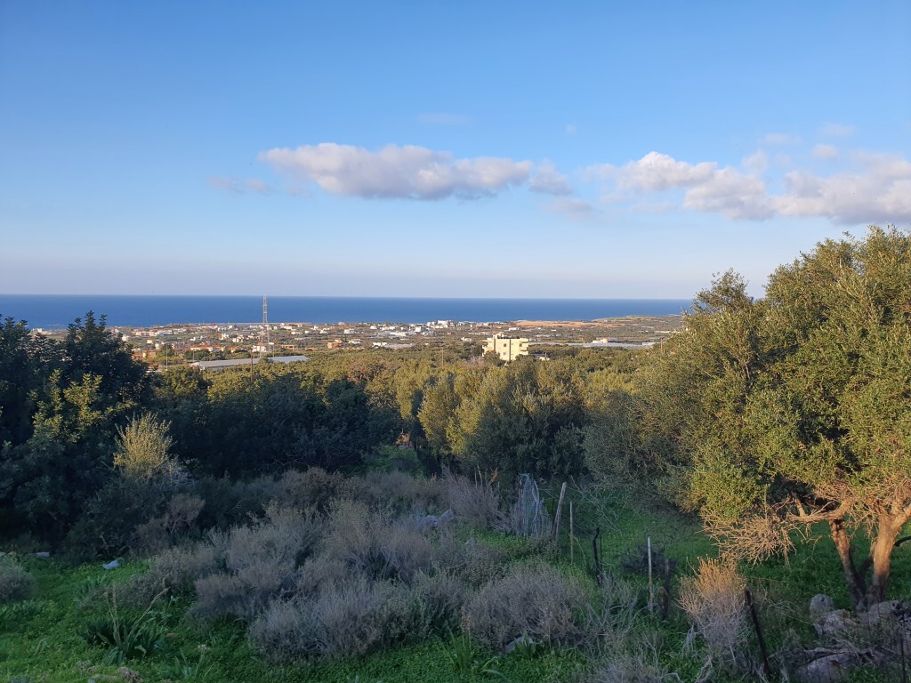 Land in Mallia, Heraklion Prefecture, Greece – 52619