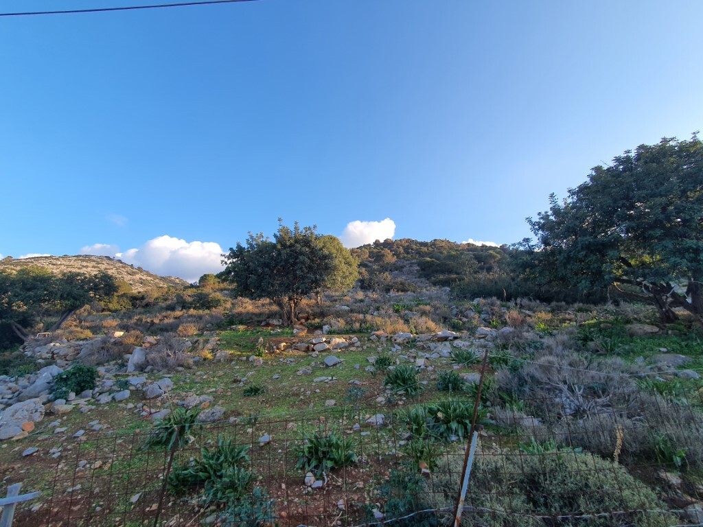 2 bedroom Land in Mallia, Heraklion Prefecture, Greece – 52613