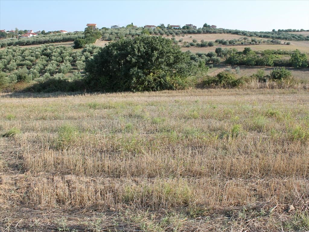 Land in Katerini, Pieria Prefecture, Greece – 52590