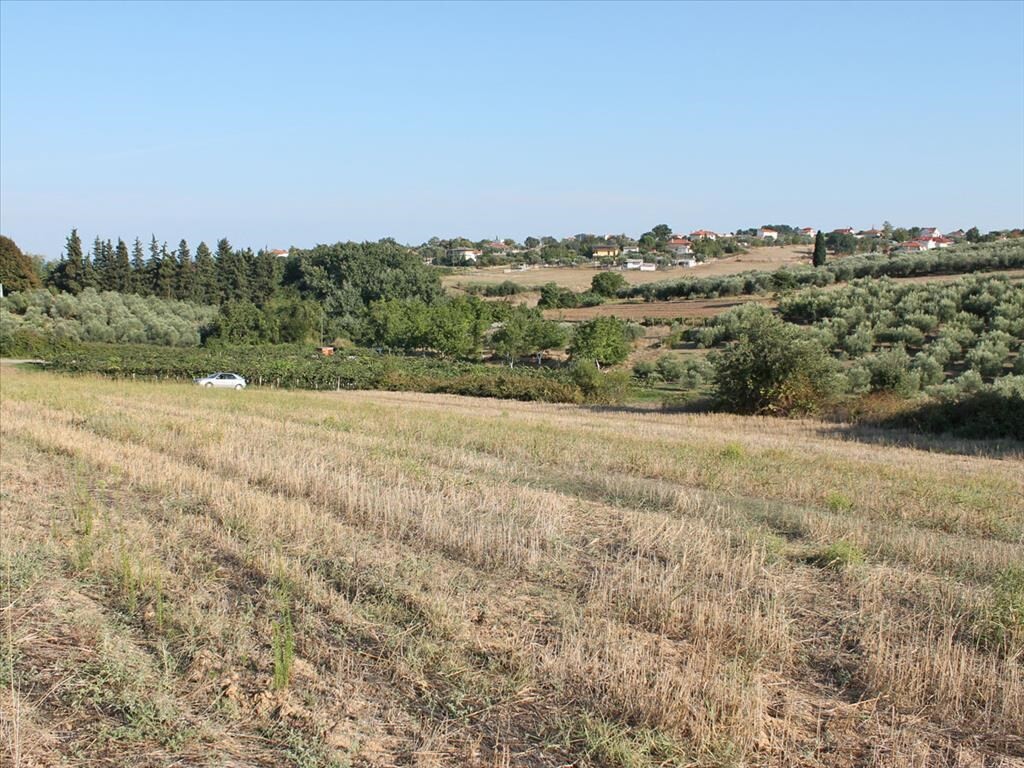 Land in Katerini, Pieria Prefecture, Greece – 52590