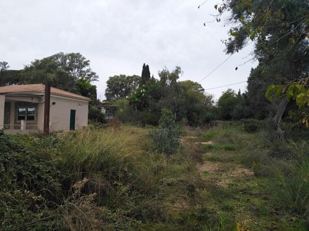 Land in Corfu, Corfu Prefecture, Greece – 52554
