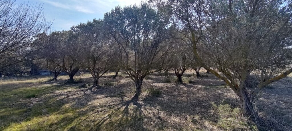 Land in Thermaikos, Thessaloniki – Suburbs, Greece – 52552