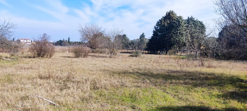 Land in Thermaikos, Thessaloniki – Suburbs, Greece – 52552