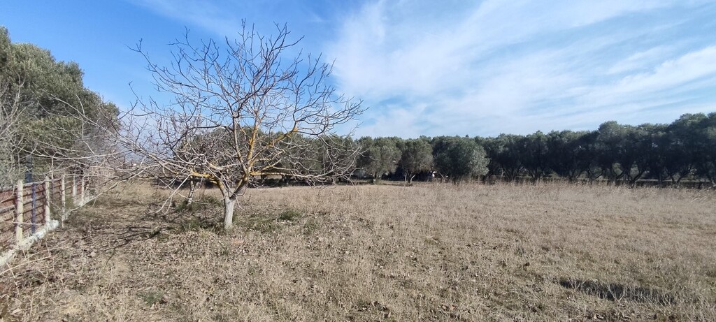Land in Thermaikos, Thessaloniki – Suburbs, Greece – 52552