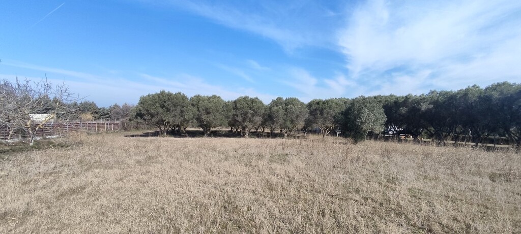 Land in Thermaikos, Thessaloniki – Suburbs, Greece – 52552
