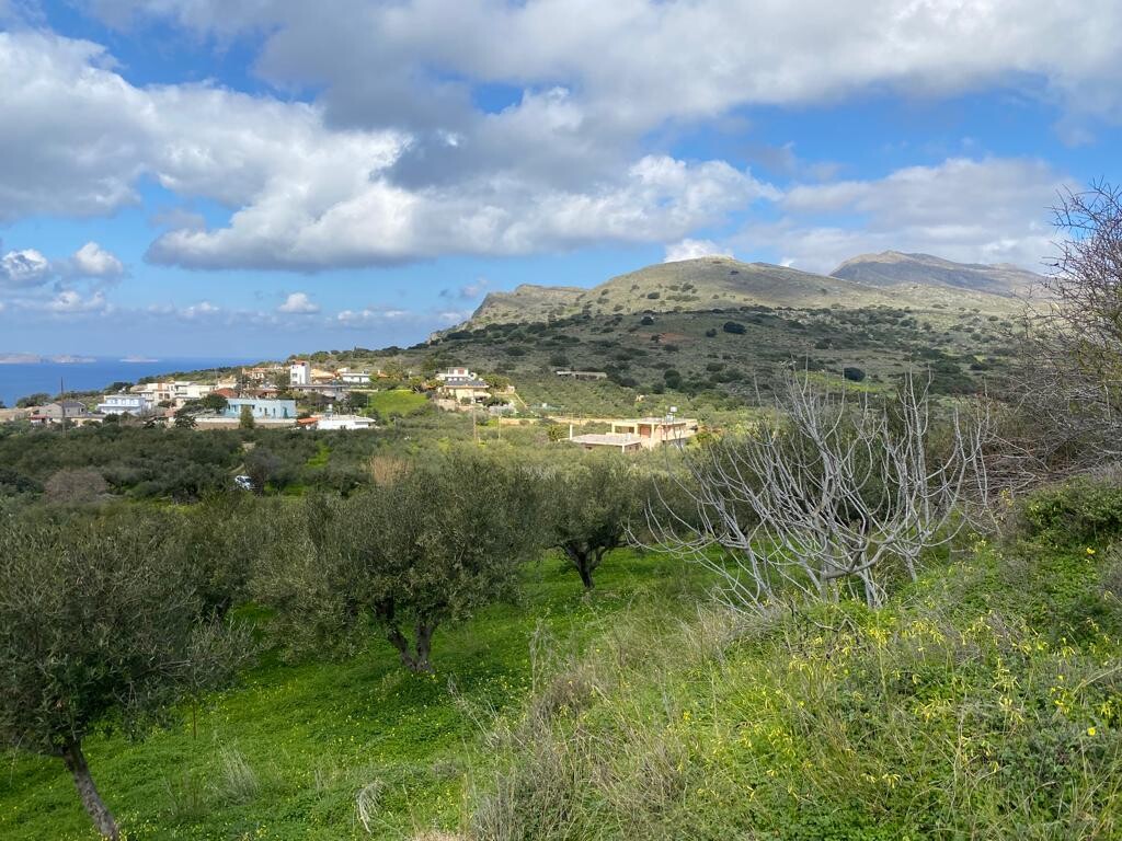 Land in Kolimvari, Chania Prefecture, Greece – 52547