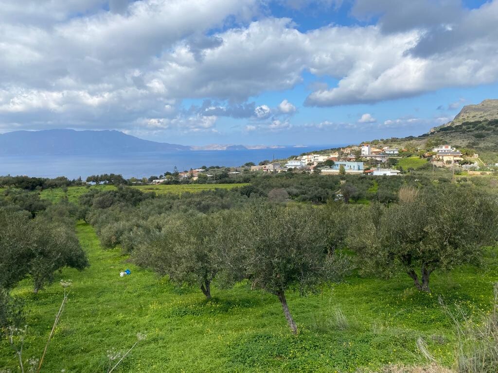 Land in Kolimvari, Chania Prefecture, Greece – 52547
