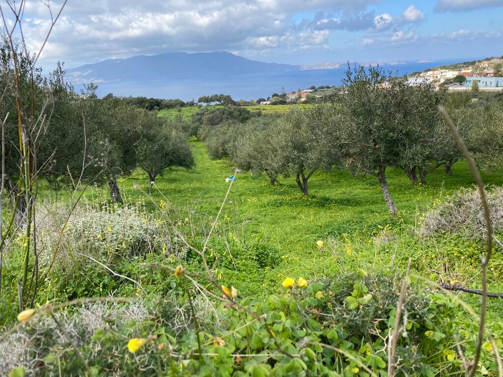 Land in Kolimvari, Chania Prefecture, Greece – 52547