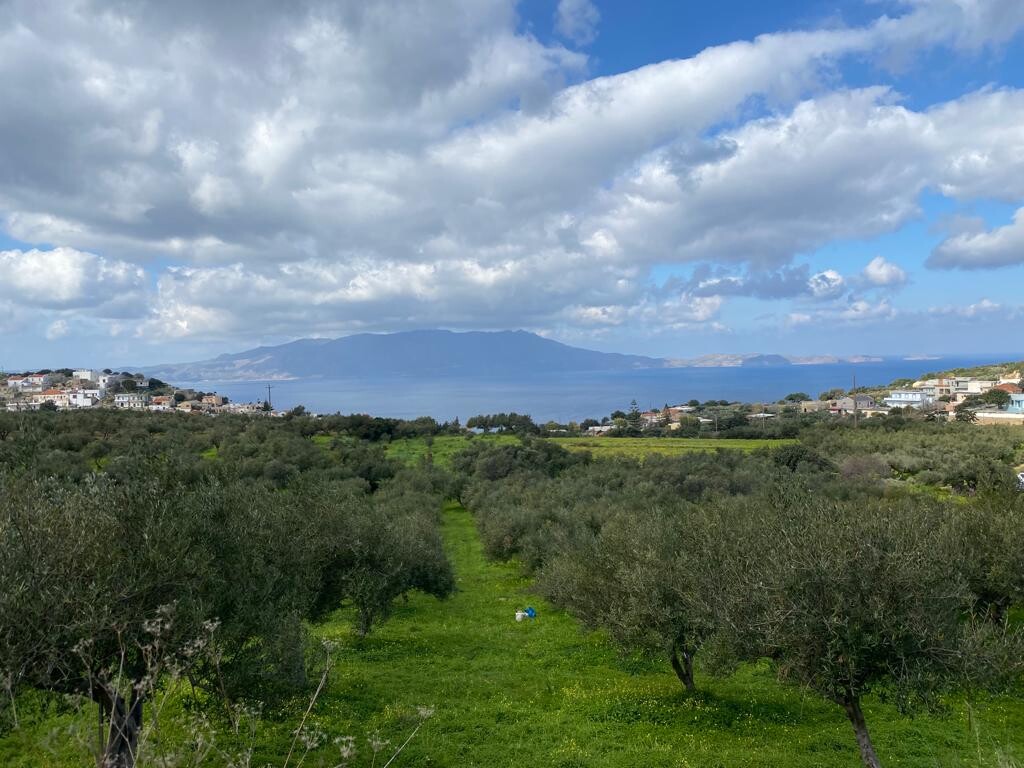 Land in Kolimvari, Chania Prefecture, Greece – 52547