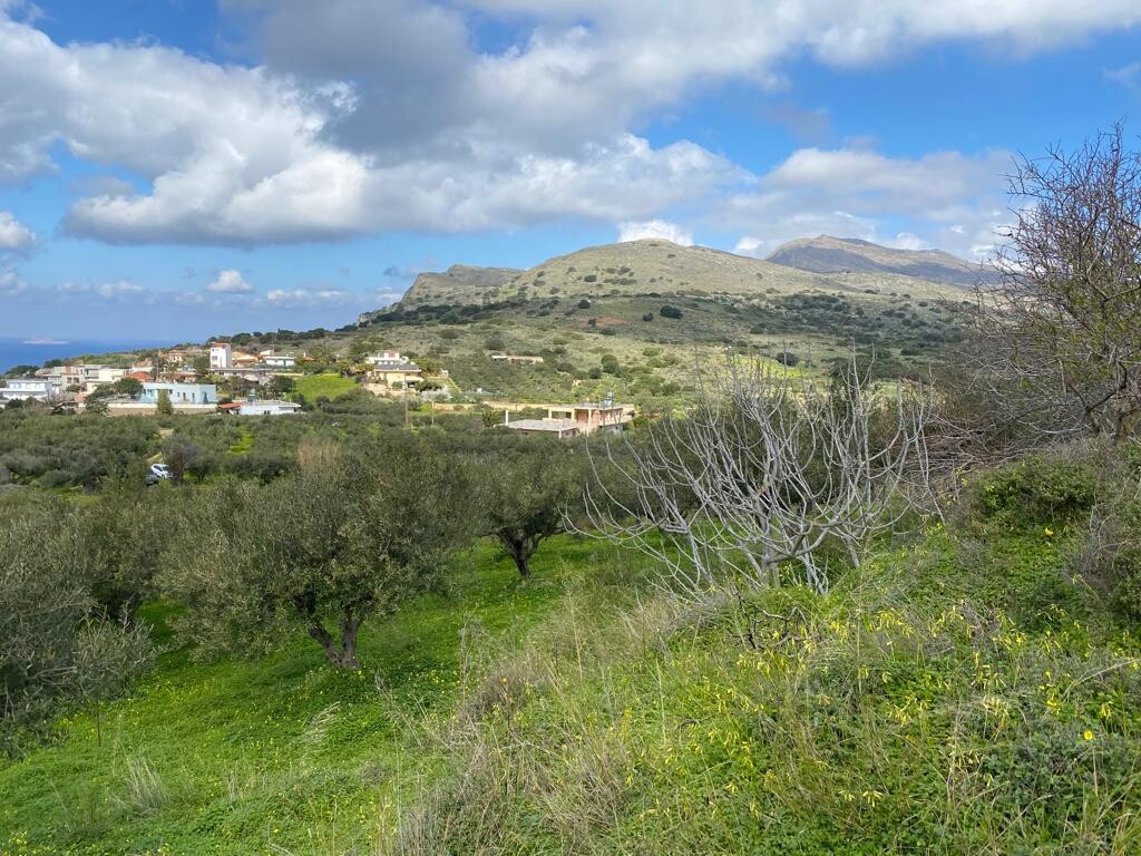 Land in Kolimvari, Chania Prefecture, Greece – 52547