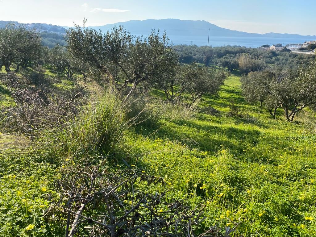 Land in Kolimvari, Chania Prefecture, Greece – 52546