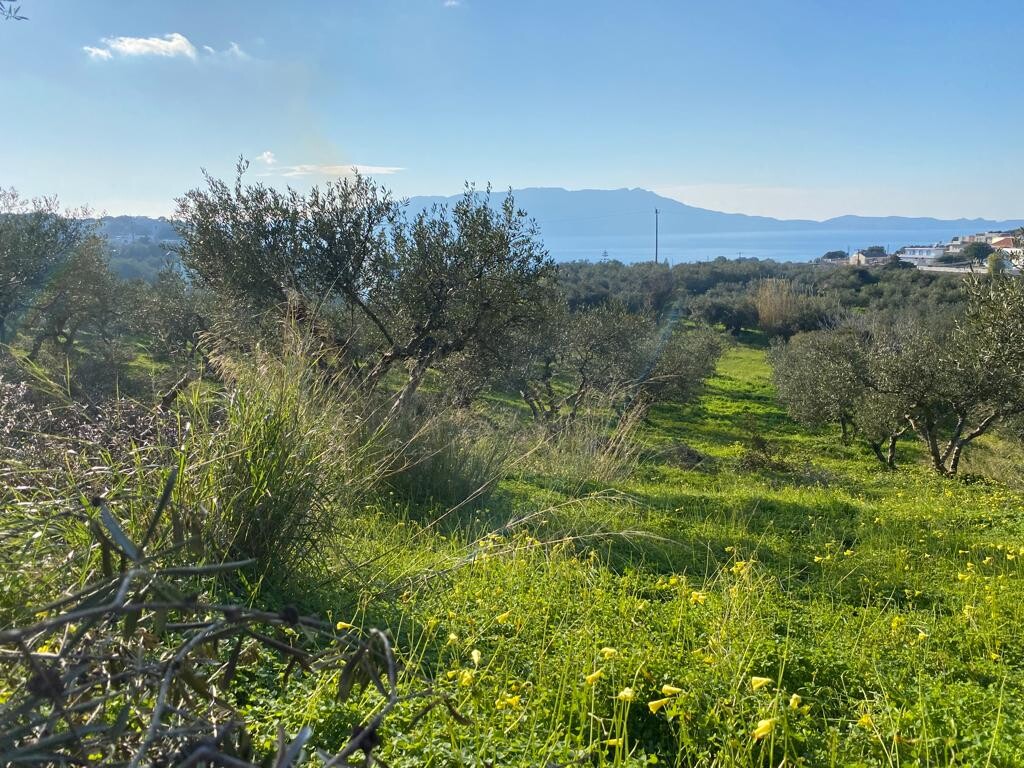 Land in Kolimvari, Chania Prefecture, Greece – 52546