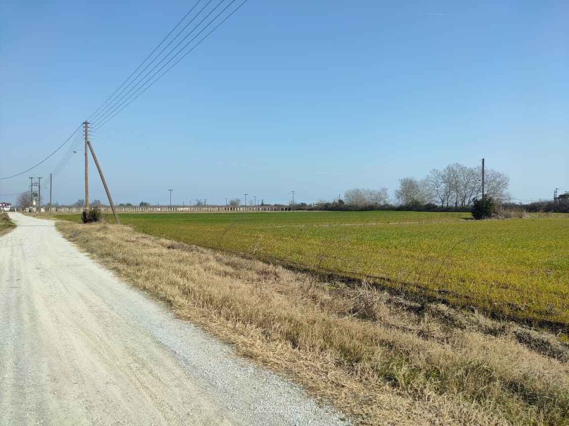 Land in Katerini, Pieria Prefecture, Greece – 52475