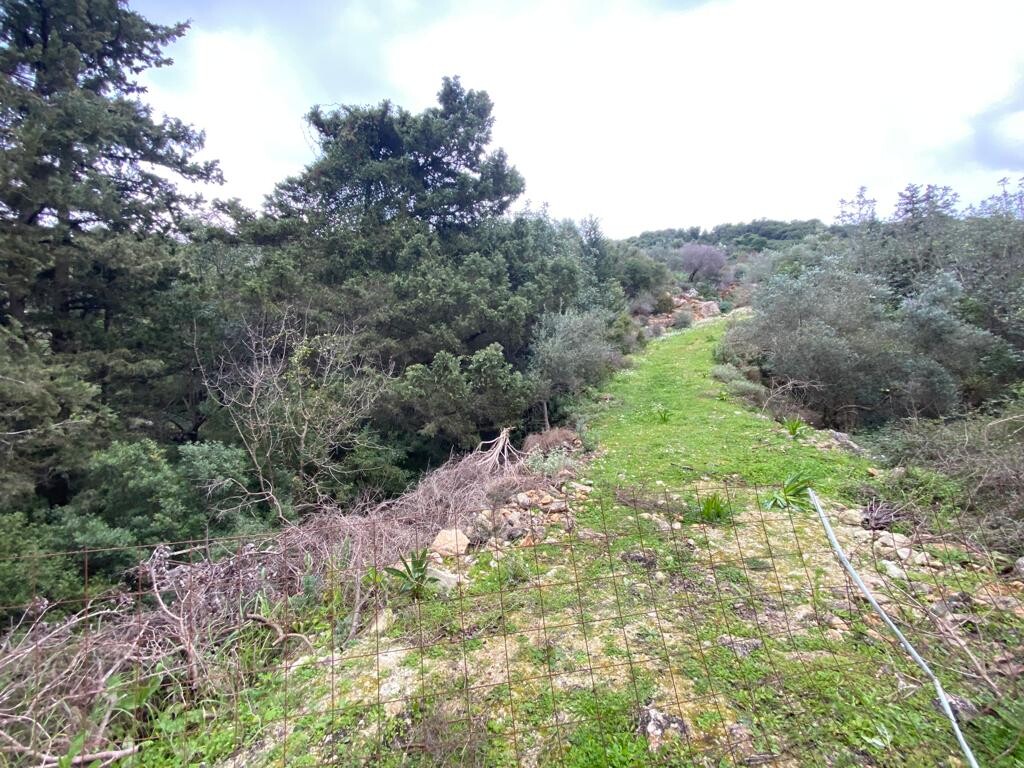Land in Armenoi, Chania Prefecture, Greece – 52467