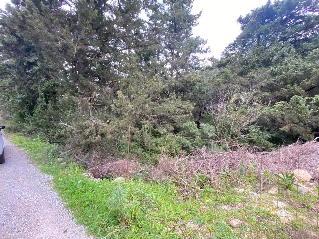 Land in Armenoi, Chania Prefecture, Greece – 52467