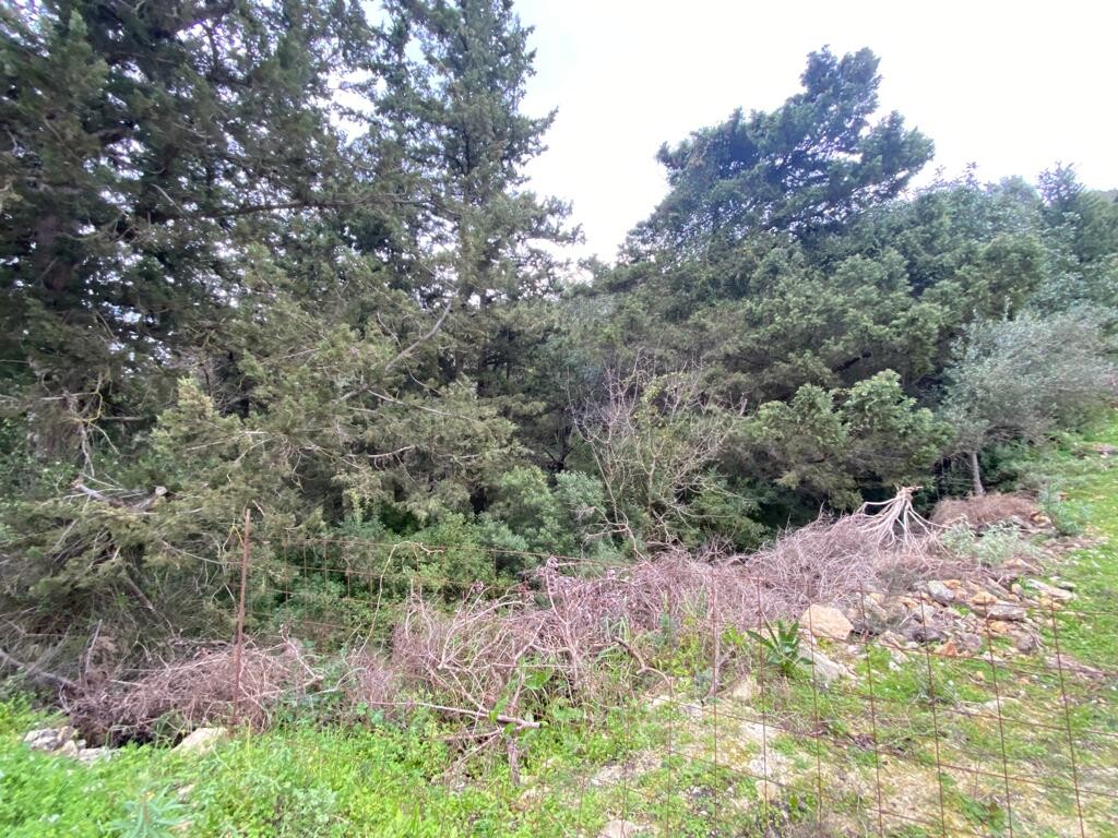 Land in Armenoi, Chania Prefecture, Greece – 52467