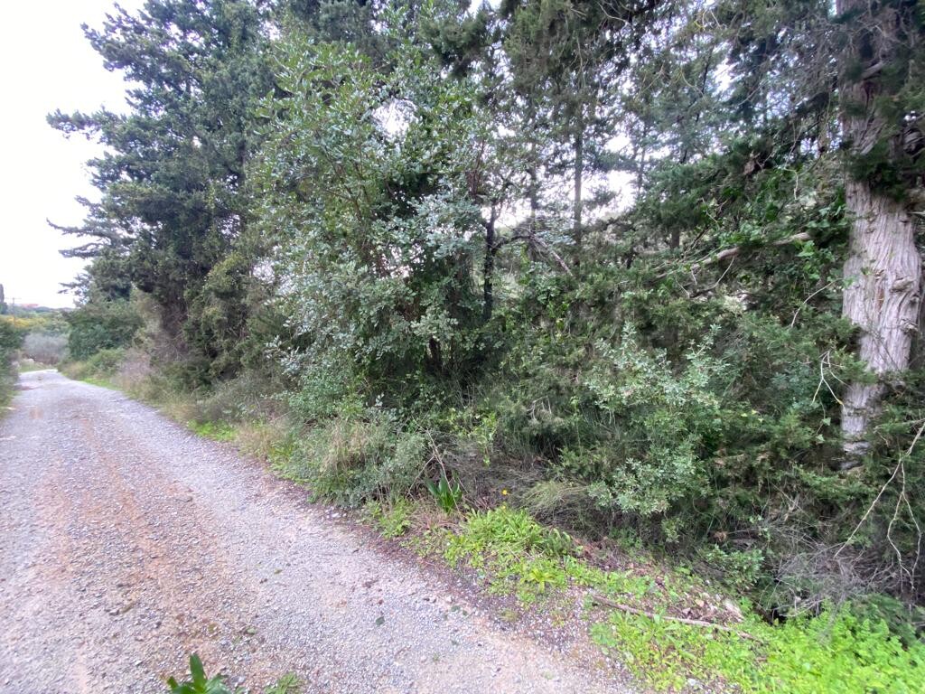 Land in Armenoi, Chania Prefecture, Greece – 52467