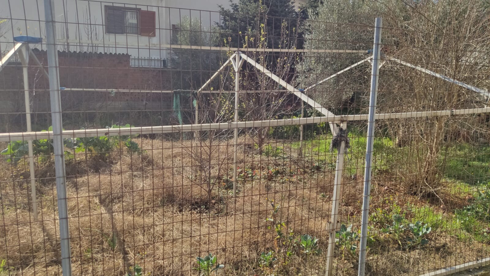 Land in Katerini, Pieria Prefecture, Greece – 52422