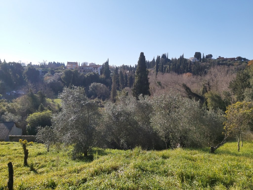 Land in Corfu, Corfu Prefecture, Greece – 52412