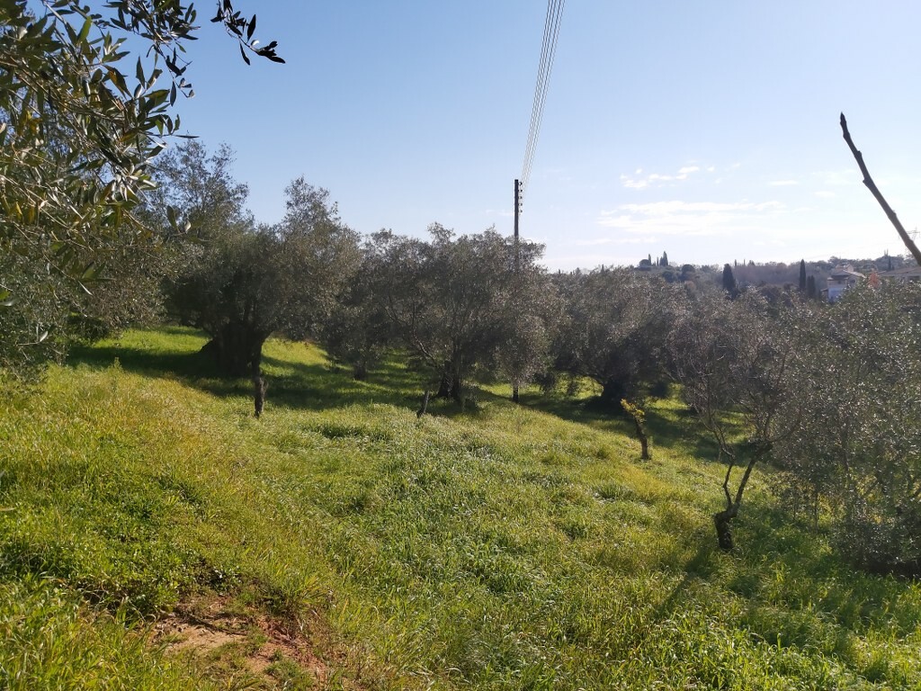 Land in Corfu, Corfu Prefecture, Greece – 52412