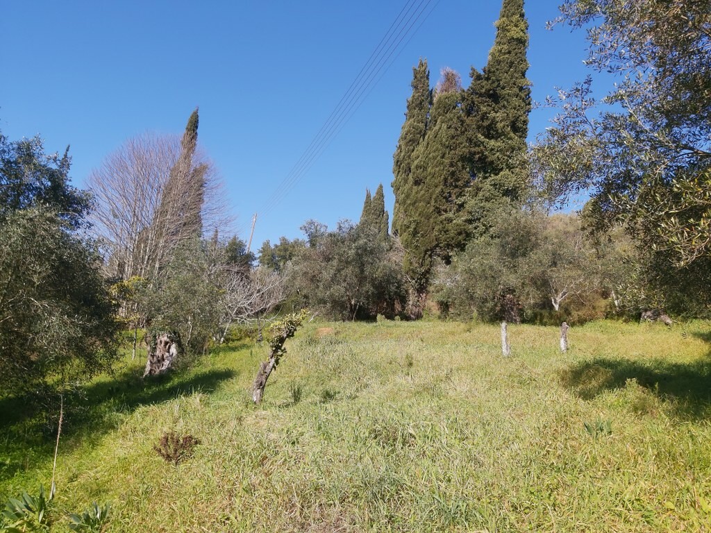 Land in Corfu, Corfu Prefecture, Greece – 52412