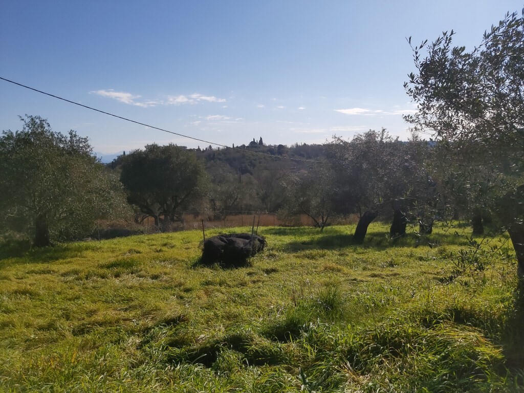 Land in Corfu, Corfu Prefecture, Greece – 52412
