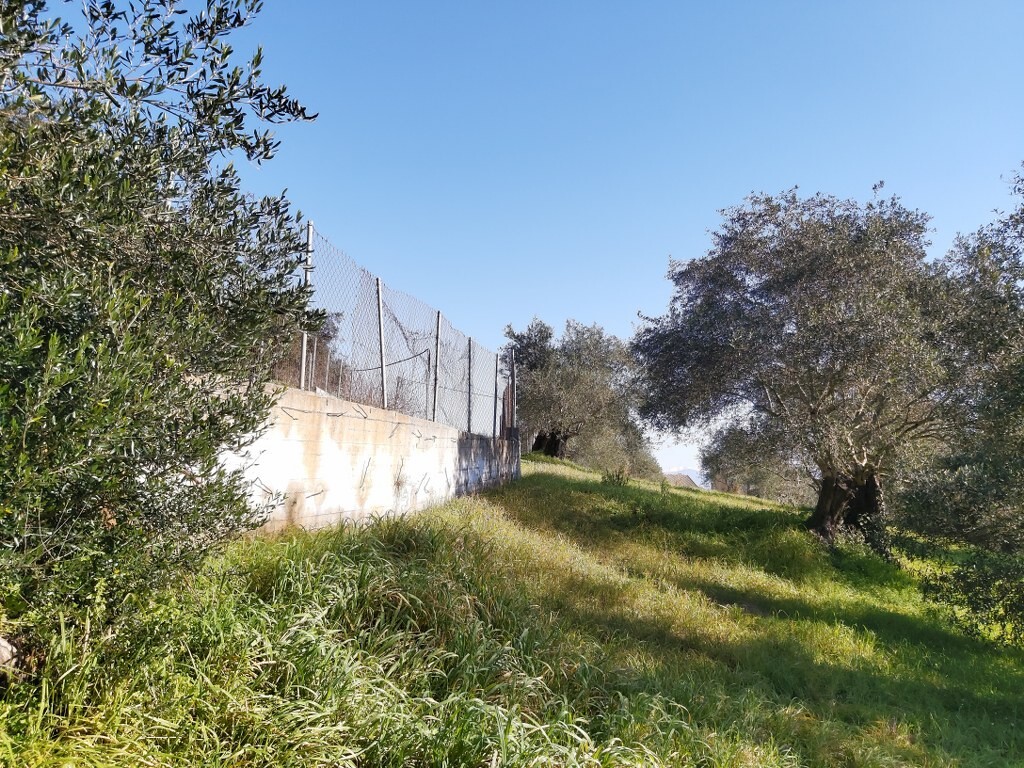 Land in Corfu, Corfu Prefecture, Greece – 52412