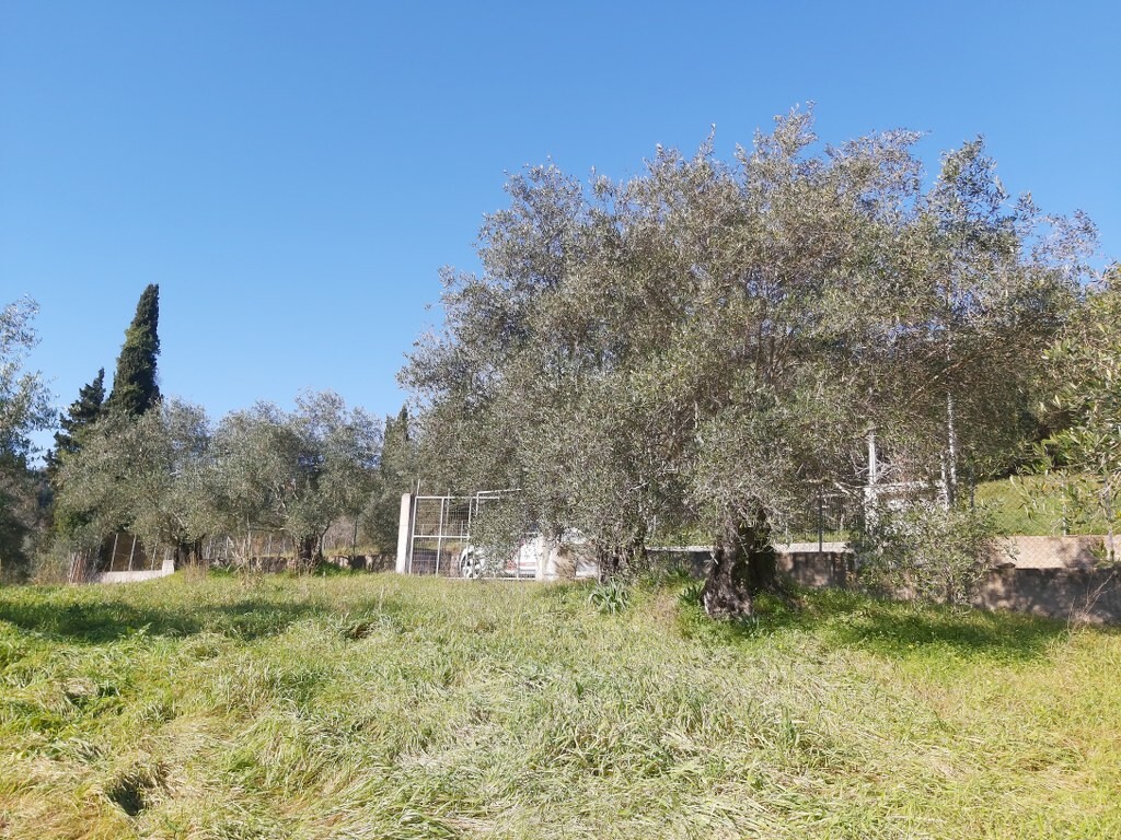Land in Corfu, Corfu Prefecture, Greece – 52412