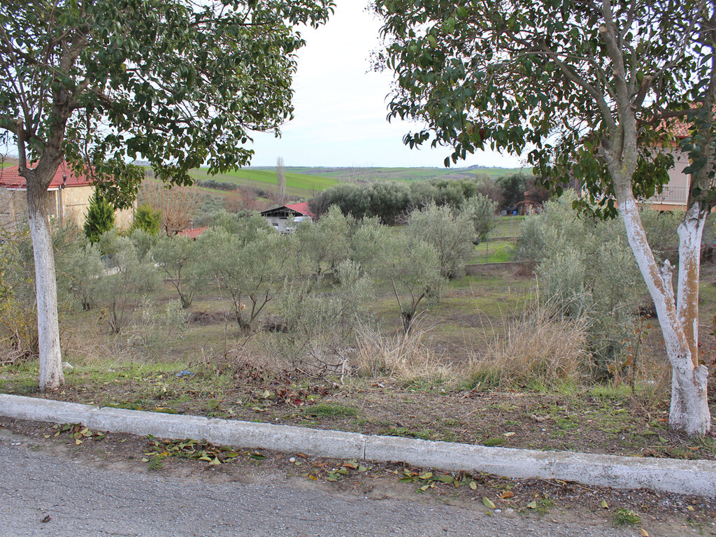 Land in Pidna, Pieria Prefecture, Greece – 52390