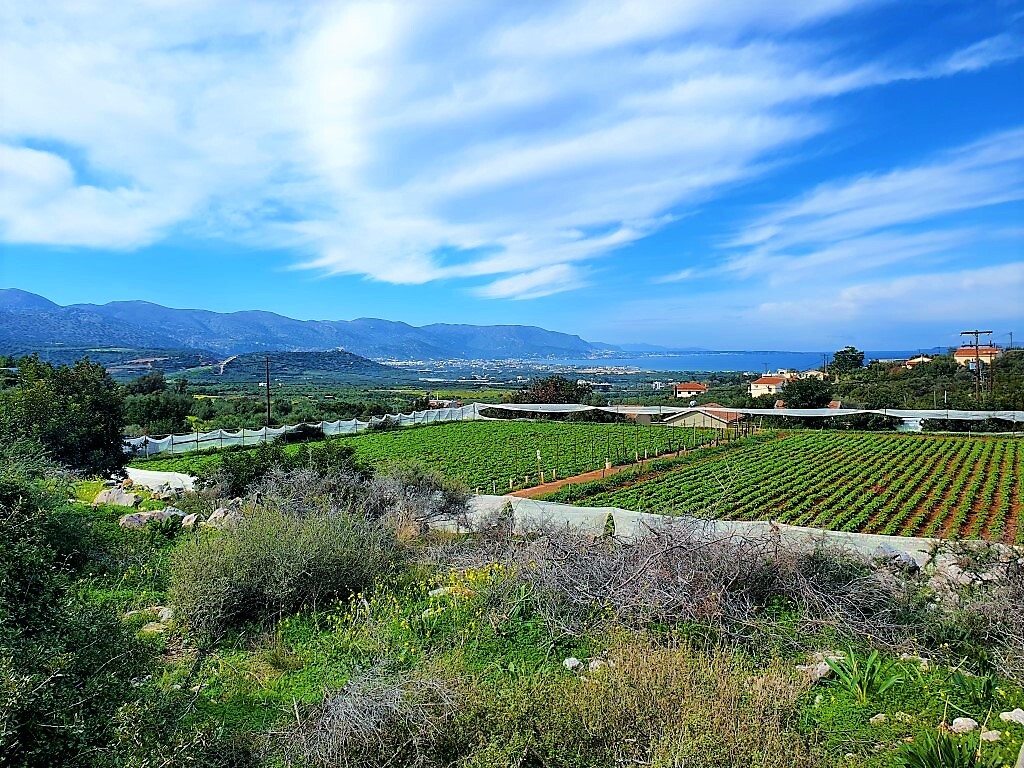 Land in Vrachasi, Lasithi Prefecture, Greece – 52388