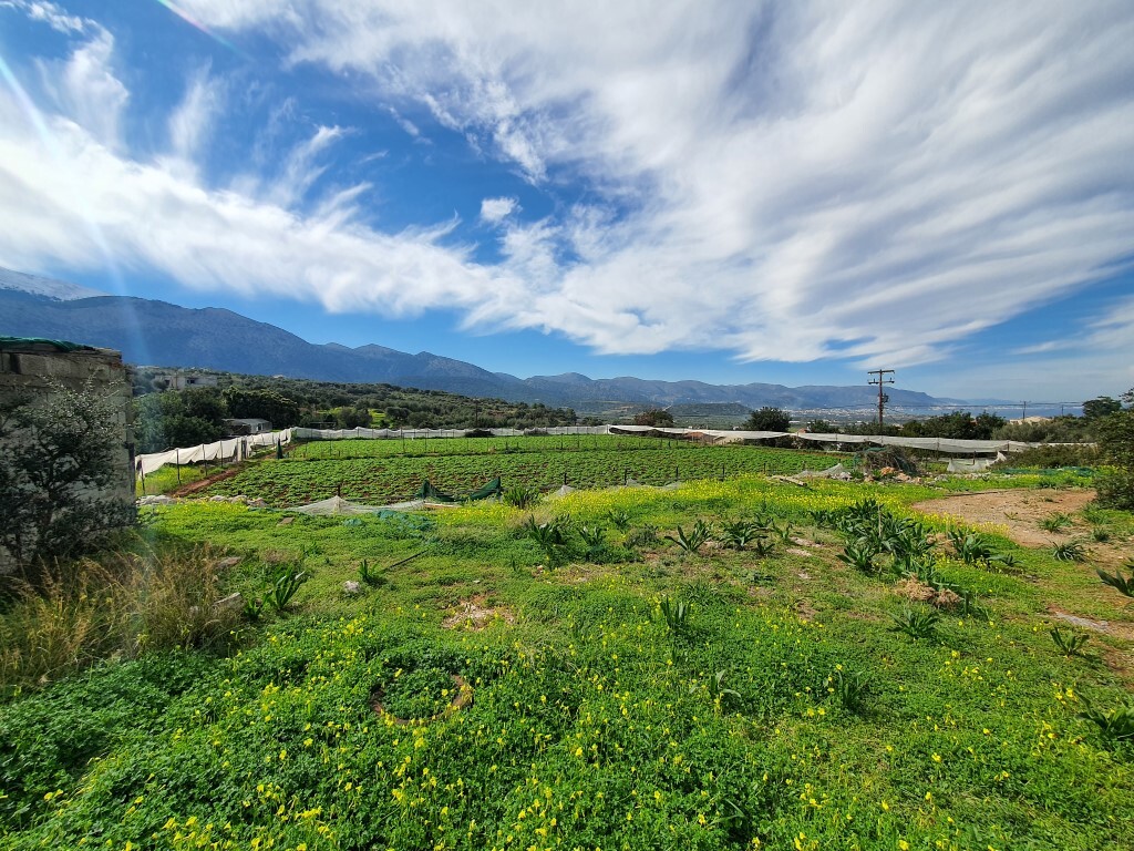 Land in Vrachasi, Lasithi Prefecture, Greece – 52388