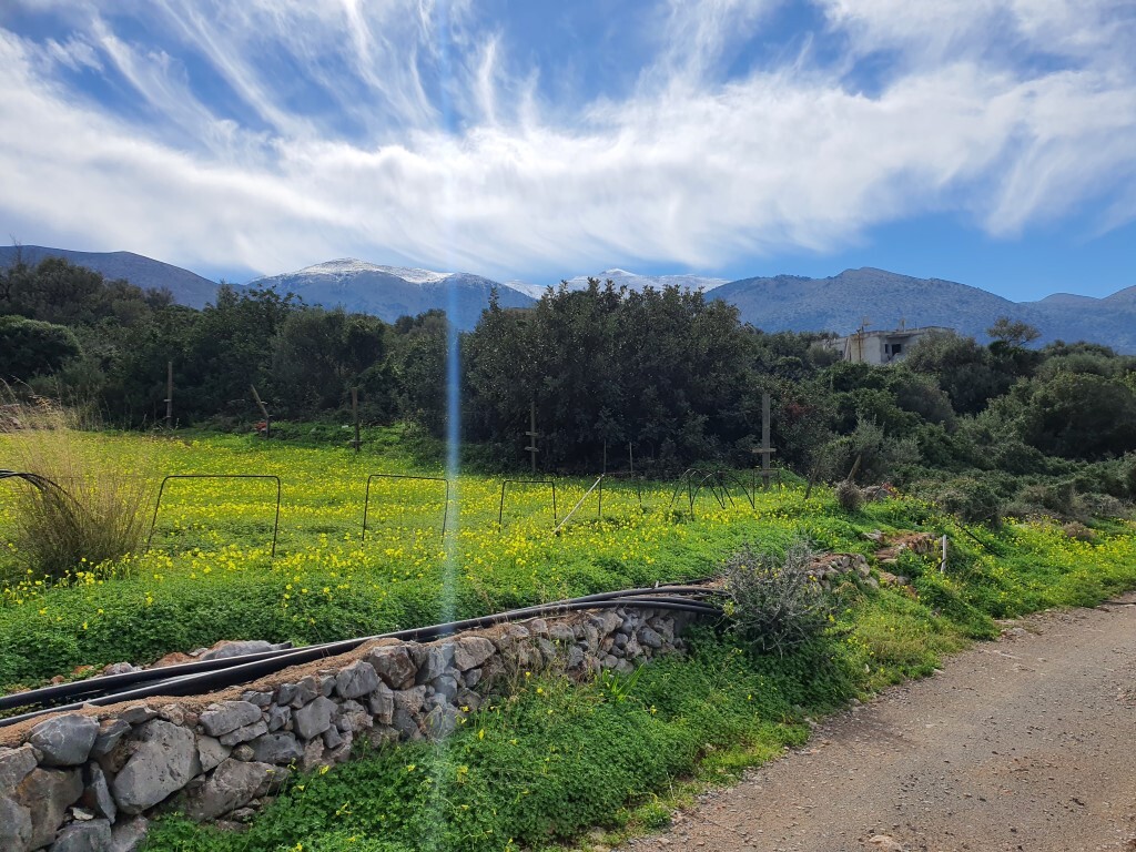 Land in Vrachasi, Lasithi Prefecture, Greece – 52388