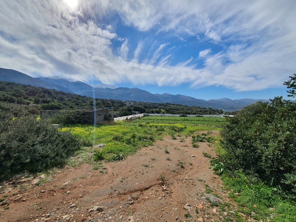 Land in Vrachasi, Lasithi Prefecture, Greece – 52388