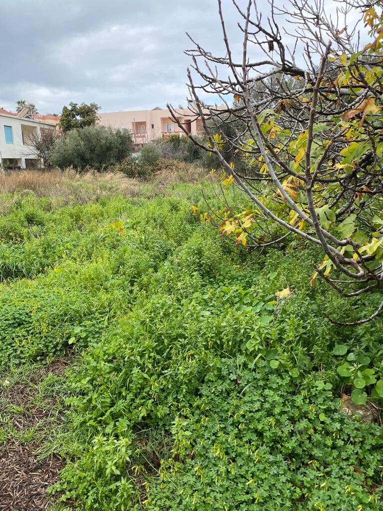 Land in Nea Kidonia, Chania Prefecture, Greece – 52320