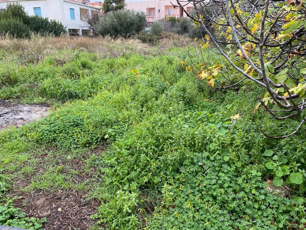 Land in Nea Kidonia, Chania Prefecture, Greece – 52320