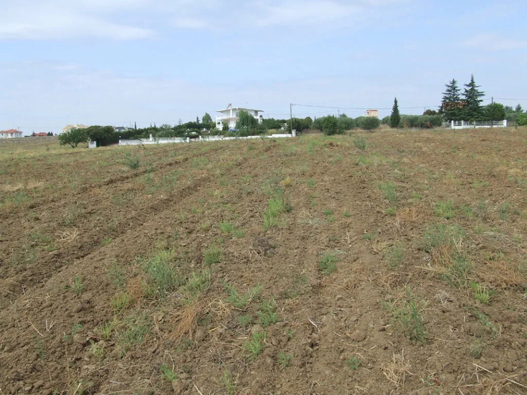 Land in Epanomi, Thessaloniki – Suburbs, Greece – 52283