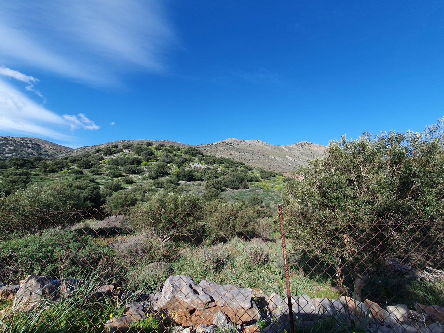 Land in Agios Nikolaos, Lasithi Prefecture, Greece – 52253