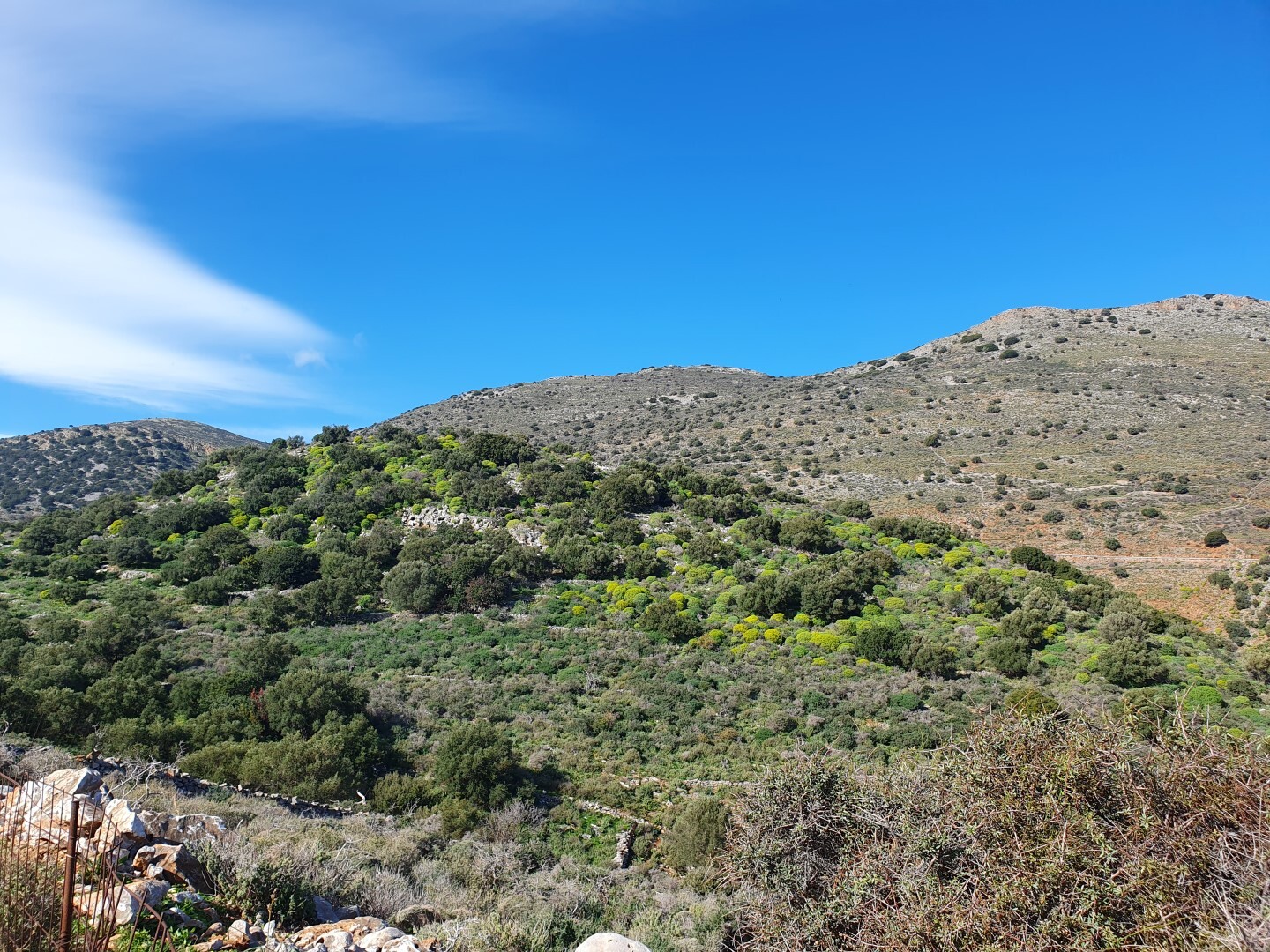 Land in Agios Nikolaos, Lasithi Prefecture, Greece – 52253