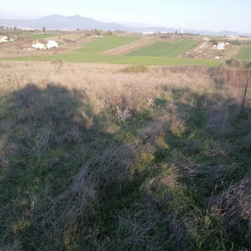 Land in Thermaikos, Thessaloniki – Suburbs, Greece – 52249