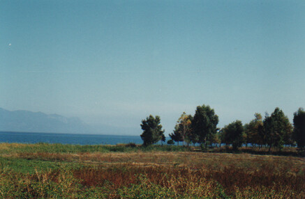 Land in Central Greece, Evia, Greece – 52198