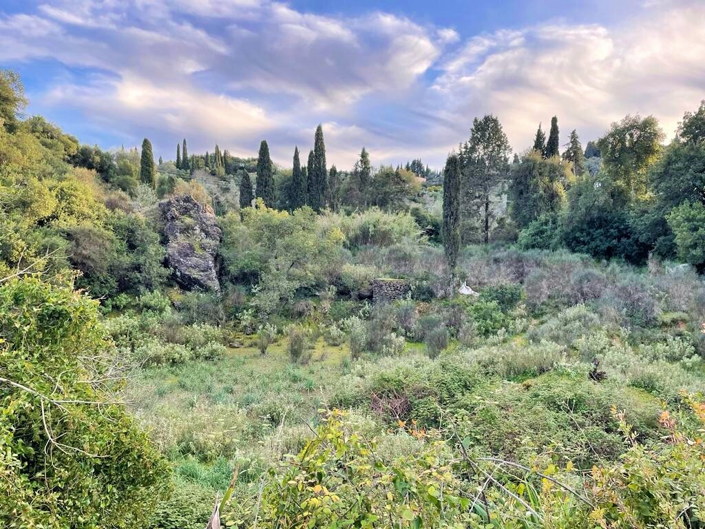 Land in Corfu, Corfu Prefecture, Greece – 52177