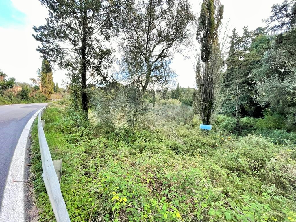 Land in Corfu, Corfu Prefecture, Greece – 52177