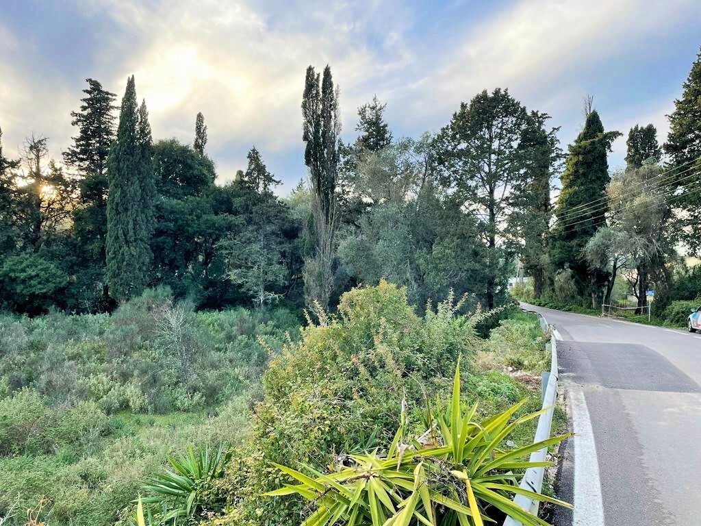 Land in Corfu, Corfu Prefecture, Greece – 52177