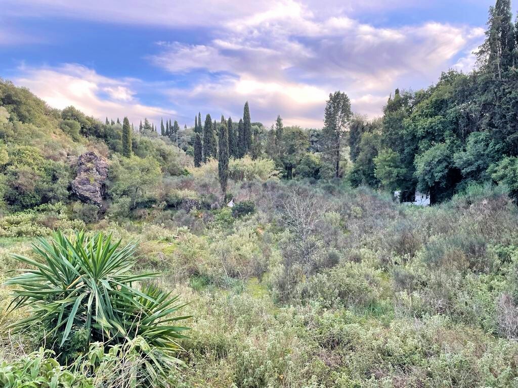 Land in Corfu, Corfu Prefecture, Greece – 52177