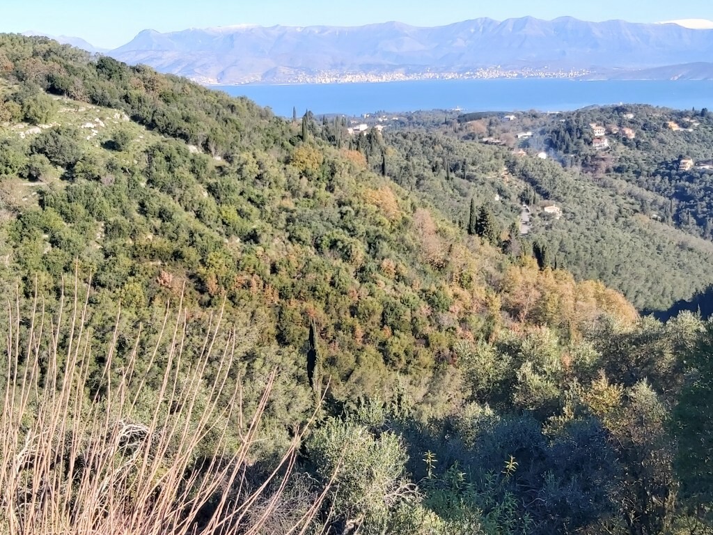 Land in Corfu, Corfu Prefecture, Greece – 52138