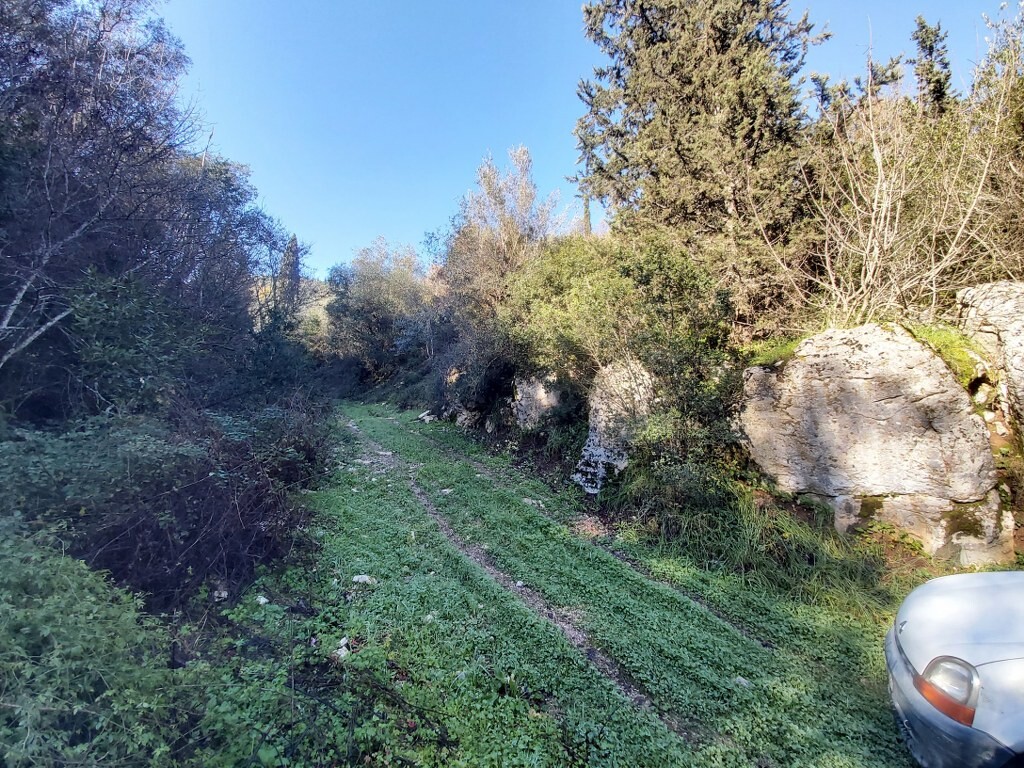Land in Corfu, Corfu Prefecture, Greece – 52138