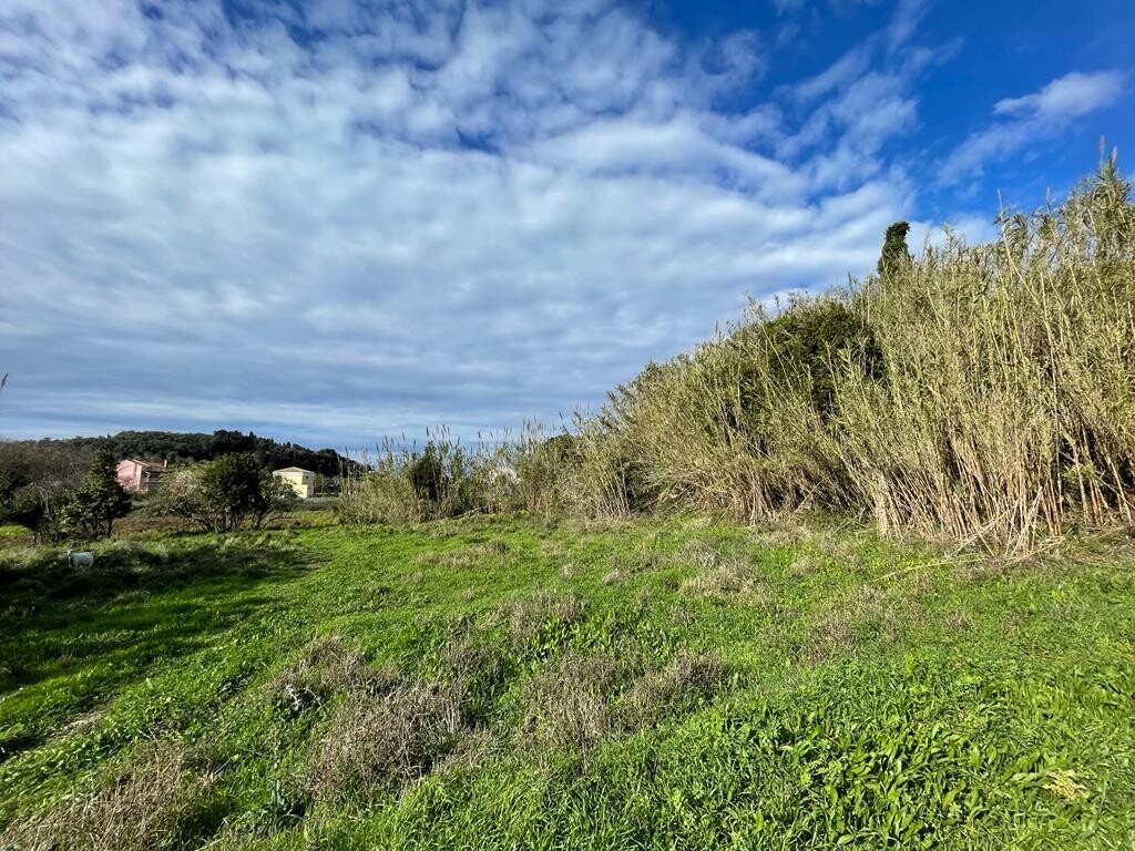 Land in Corfu, Corfu Prefecture, Greece – 52116